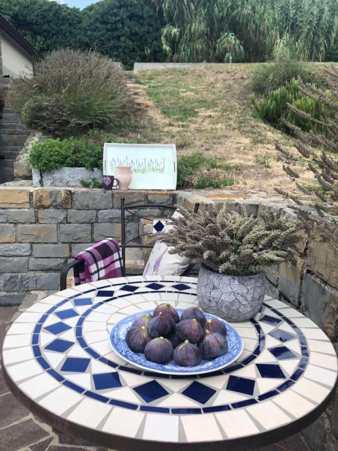 Fig&Lavender Apartment Šmarje Eksteriør billede